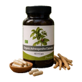 Ashwagandha Biológica